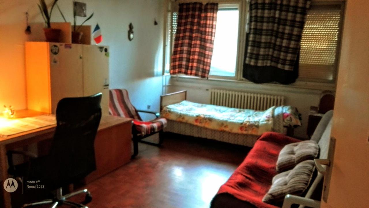 Men Who Knit Leilighet Beograd Eksteriør bilde
